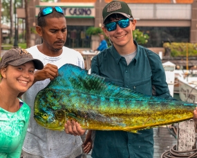 Aruba Fish