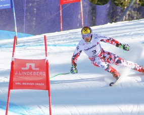 Birds of Prey Marcel Hirscher