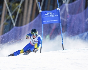 Birds of Prey Skier 96